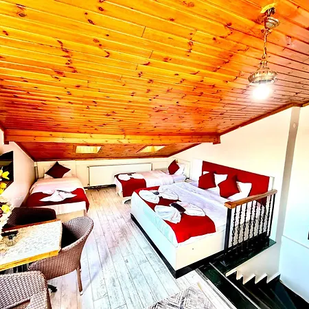 شقة فندقية Taksim Sem House 4*